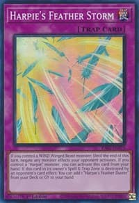 Harpie's Feather Storm: 25th Anniversary Rarity Collection