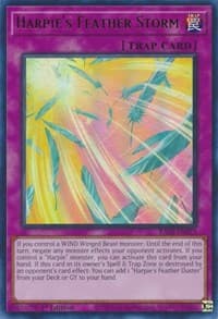 Harpie's Feather Storm (UR): 25th Anniversary Rarity Collection