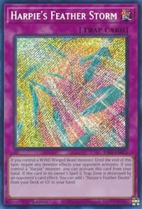 Harpie's Feather Storm (Secret Rare): 25th Anniversary Rarity Collection