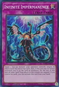 Infinite Impermanence: 25th Anniversary Rarity Collection