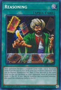 Reasoning (Secret Rare): 25th Anniversary Rarity Collection