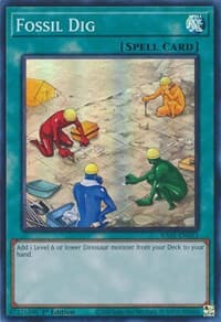 Fossil Dig: 25th Anniversary Rarity Collection