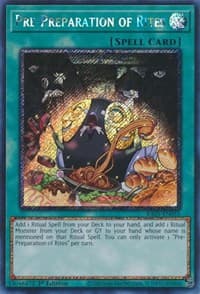 Pre-Preparation of Rites (Platinum Secret Rare): 25th Anniversary Rarity Collection