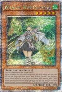 Wynn the Wind Channeler (Quarter Century Secret Rare): 25th Anniversary Rarity Collection