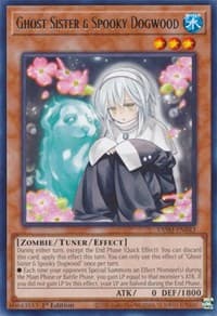 Ghost Sister & Spooky Dogwood: Valiant Smashers