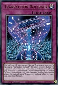 Transaction Rollback: Maze of Millennia