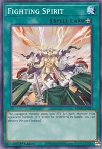 Fighting Spirit: 2-Player Starter Set