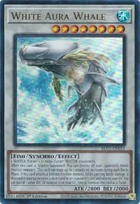 White Aura Whale: Battles of Legend: Chapter 1