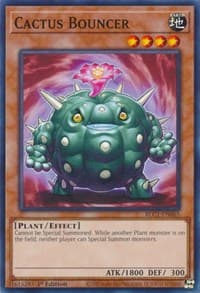 Cactus Bouncer: Battles of Legend: Chapter 1