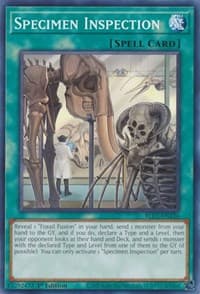 Specimen Inspection: Battles of Legend: Chapter 1