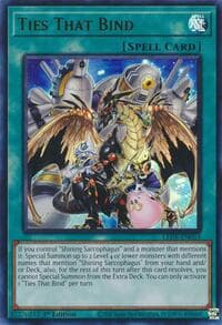 Ties That Bind: Legacy of Destruction