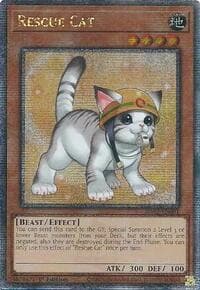 Rescue Cat (Alternate Art) (Quarter Century Secret Rare): 25th Anniversary Rarity Collection II