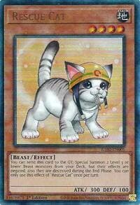 Rescue Cat (Alternate Art) (PUR): 25th Anniversary Rarity Collection II