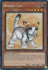 Rescue Cat (Alternate Art) (PCR): 25th Anniversary Rarity Collection II