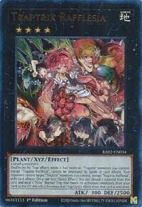 Traptrix Rafflesia (UR): 25th Anniversary Rarity Collection II