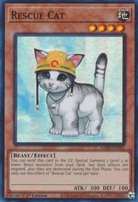 Rescue Cat: 25th Anniversary Rarity Collection II