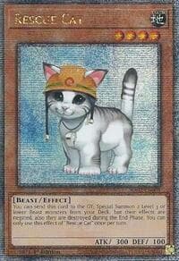 Rescue Cat (Quarter Century Secret Rare): 25th Anniversary Rarity Collection II