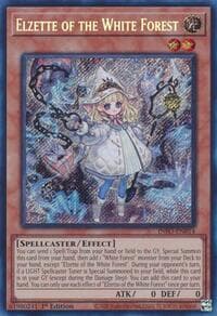 Elzette of the White Forest: The Infinite Forbidden