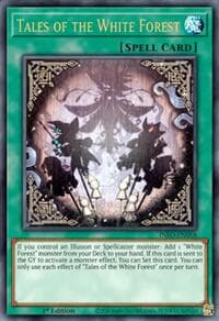 Tales of the White Forest: The Infinite Forbidden