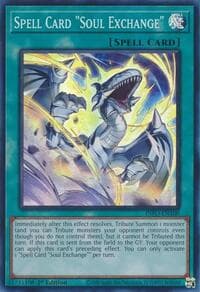 Spell Card "Soul Exchange": The Infinite Forbidden