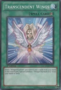 Transcendent Wings: Legendary Collection 2