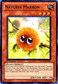 Naturia Marron: Photon Shockwave