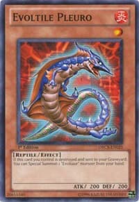 Evoltile Pleuro: Order of Chaos