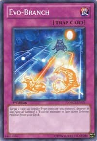 Evo-Branch: Order of Chaos