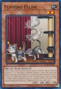 Flipping Feline: Rage of the Abyss