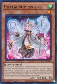 Phalaenop Sisters: Rage of the Abyss