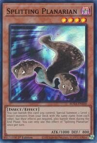 Splitting Planarian: Rage of the Abyss