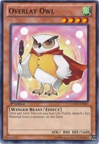 Overlay Owl: Galactic Overlord