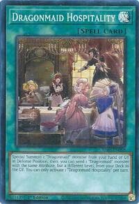 Dragonmaid Hospitality: Quarter Century Bonanza