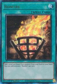 Bonfire (PUR): Quarter Century Bonanza