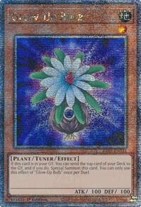 Glow-Up Bulb (Quarter Century Secret Rare): Quarter Century Bonanza
