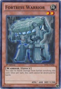 Fortress Warrior: Battle Pack: Epic Dawn