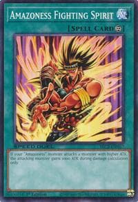 Amazoness Fighting Spirit: Speed Duel: Battle City Finals