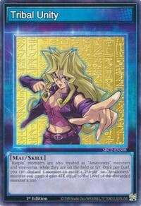 Tribal Unity: Speed Duel: Battle City Finals