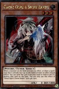 Ghost Ogre & Snow Rabbit (Quarter Century Secret Rare): Quarter Century Stampede