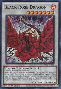 Black Rose Dragon: Quarter Century Stampede
