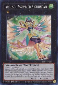 Lyrilusc - Assembled Nightingale: Quarter Century Stampede