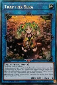 Traptrix Sera (PCR): Quarter Century Stampede