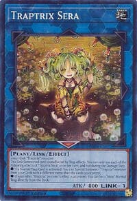 Traptrix Sera: Quarter Century Stampede