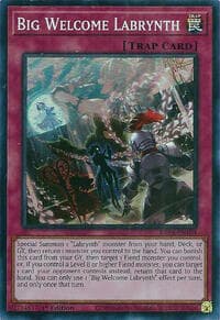 Big Welcome Labrynth: Quarter Century Stampede