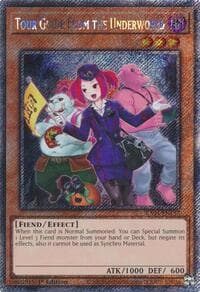Tour Guide from the Underworld (Alternate Art) (Platinum Secret Rare): Quarter Century Stampede
