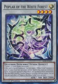 Poplar of the White Forest: Alliance Insight