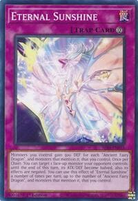 Eternal Sunshine: Alliance Insight
