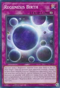 Regenesis Birth: Alliance Insight
