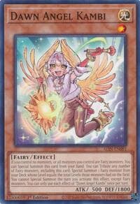 Dawn Angel Kambi: Alliance Insight