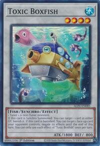Toxic Boxfish: Alliance Insight